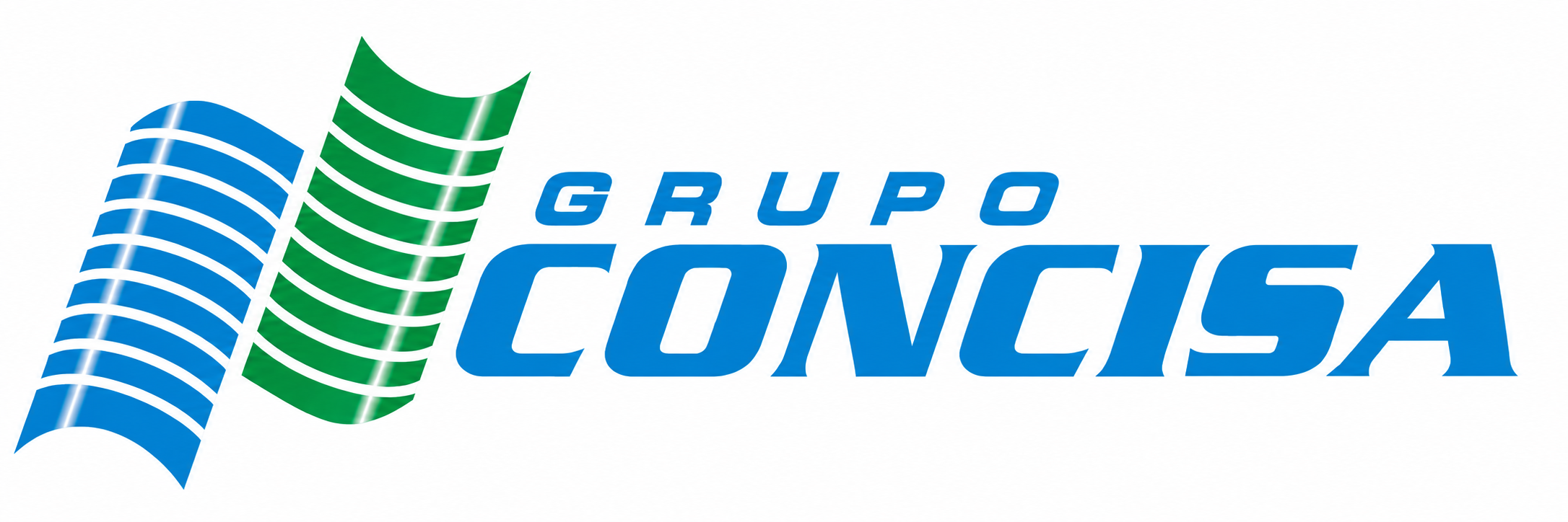 Grupo Concisa